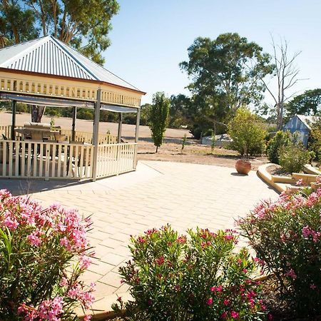 Barossa Vineyard Cottages Tanunda Eksteriør billede