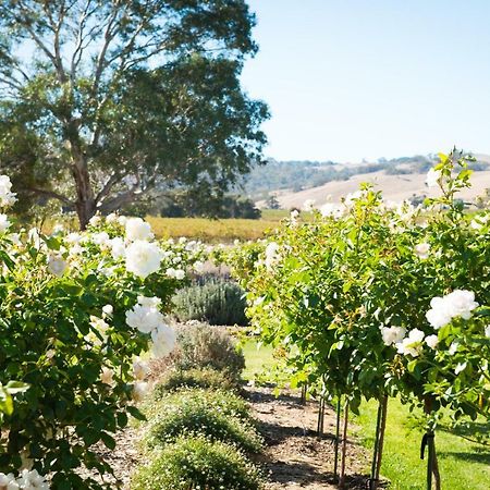 Barossa Vineyard Cottages Tanunda Eksteriør billede