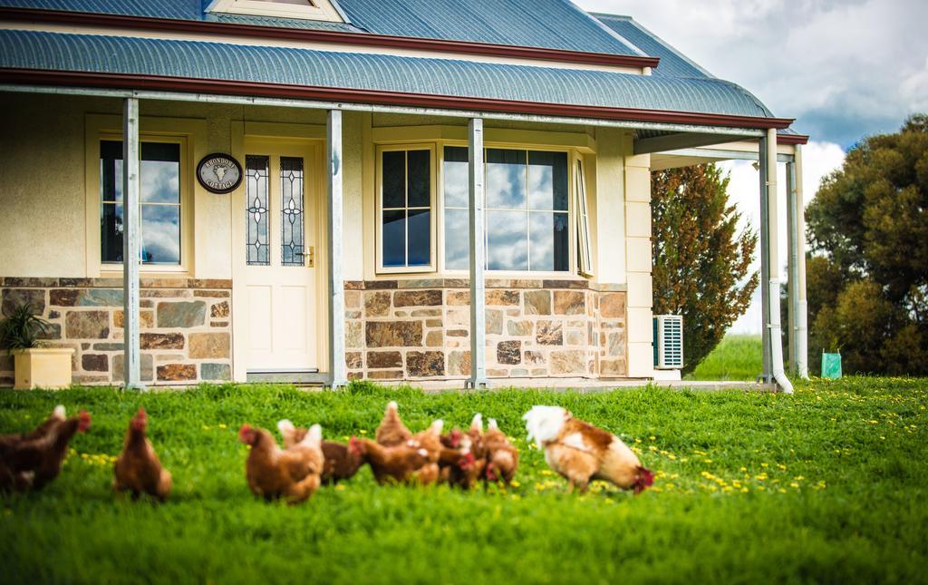 Barossa Vineyard Cottages Tanunda Eksteriør billede