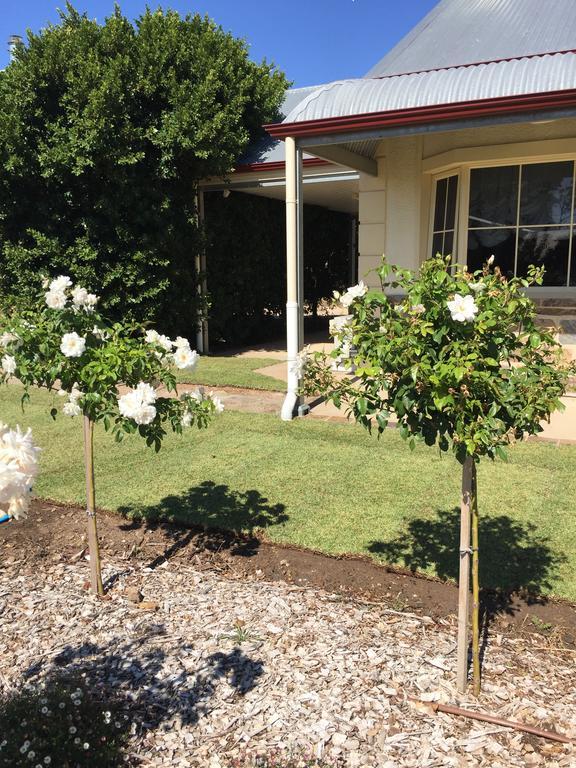 Barossa Vineyard Cottages Tanunda Eksteriør billede