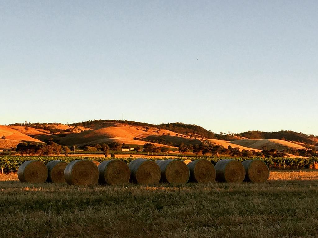 Barossa Vineyard Cottages Tanunda Eksteriør billede