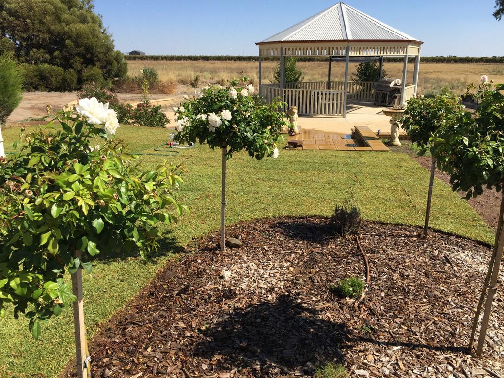 Barossa Vineyard Cottages Tanunda Eksteriør billede