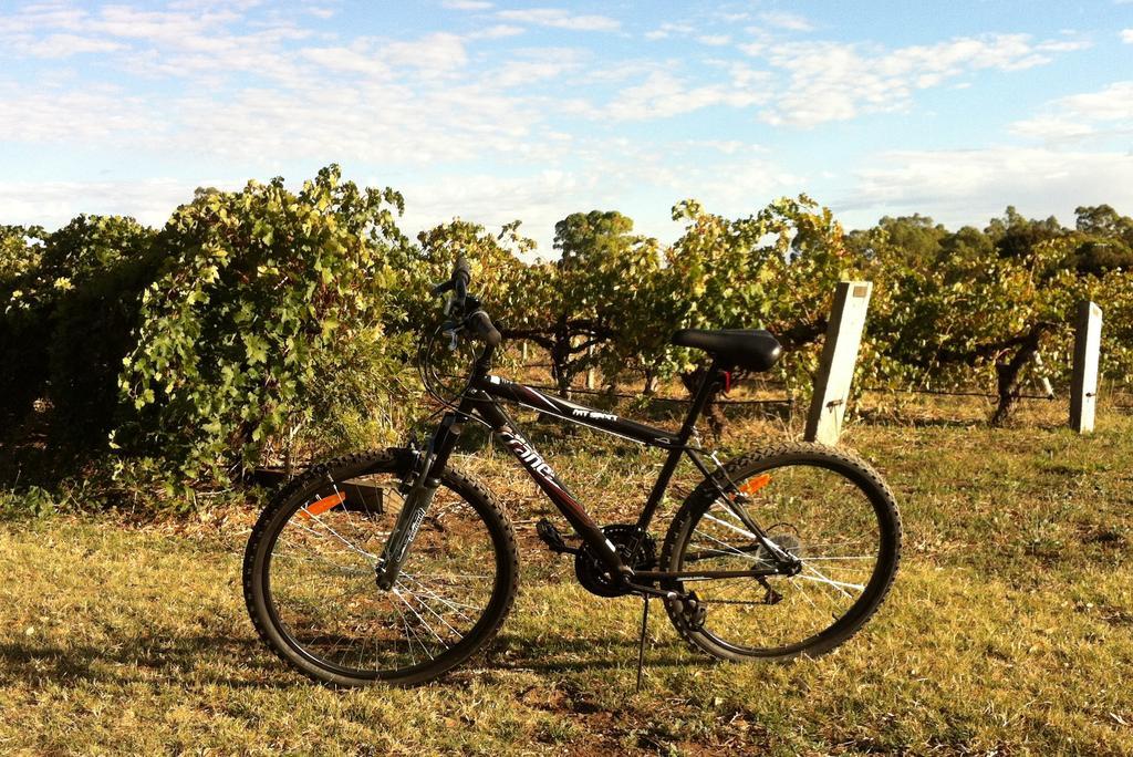 Barossa Vineyard Cottages Tanunda Eksteriør billede