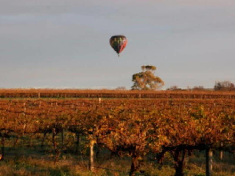 Barossa Vineyard Cottages Tanunda Eksteriør billede