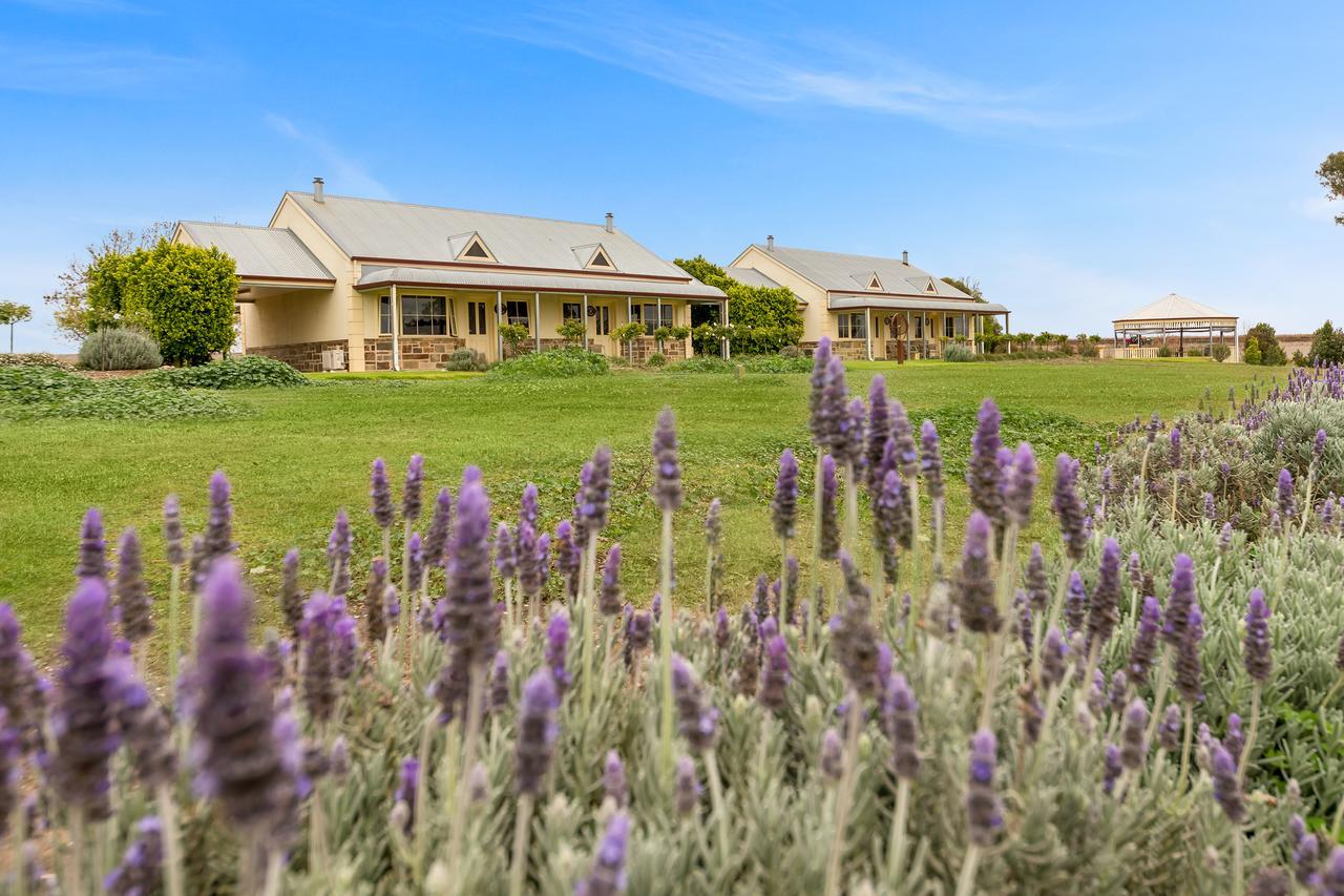 Barossa Vineyard Cottages Tanunda Eksteriør billede