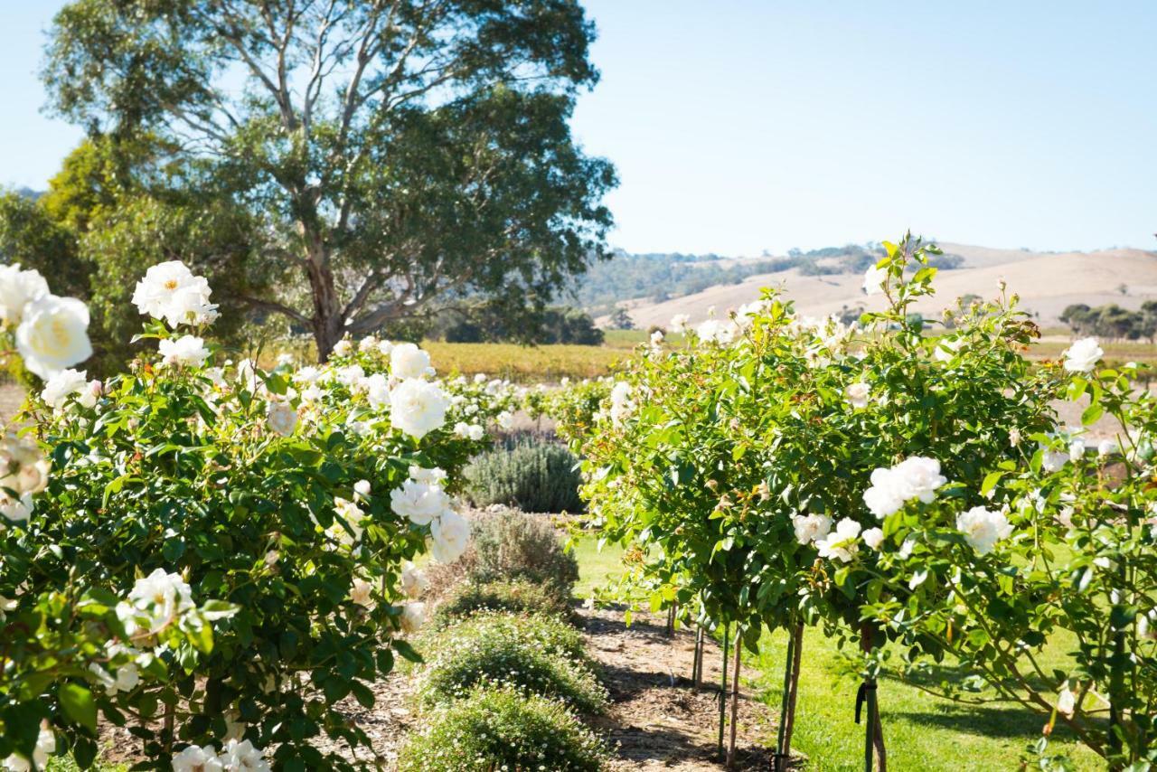 Barossa Vineyard Cottages Tanunda Eksteriør billede