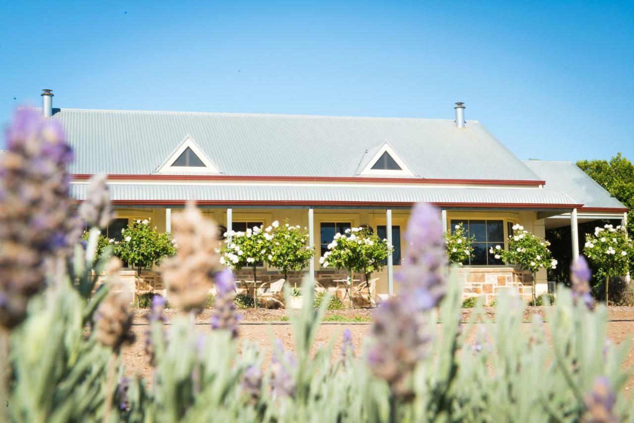 Barossa Vineyard Cottages Tanunda Eksteriør billede