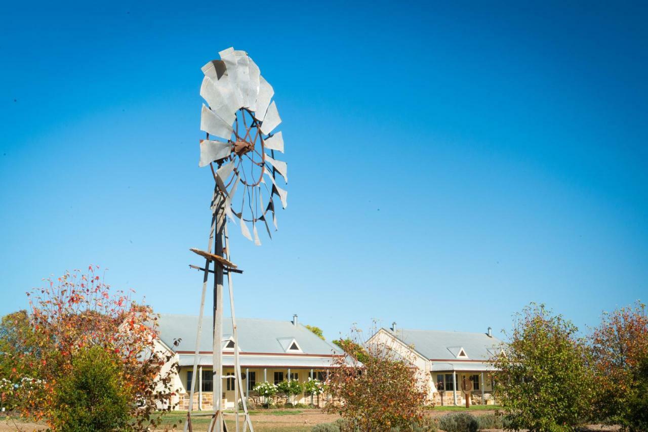 Barossa Vineyard Cottages Tanunda Eksteriør billede